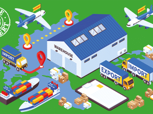 Customs Procedures & Documentation (BCC)